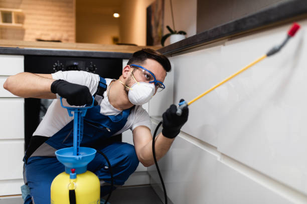 Best Best Pest Control Near Me  in Mcrae Helena, GA