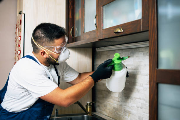 Best Best Pest Control Companies  in Mcrae Helena, GA