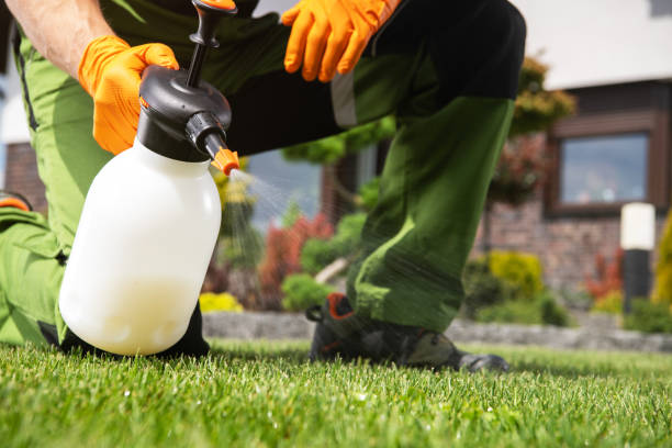 Best Pest Control Near Me  in Mcrae Helena, GA