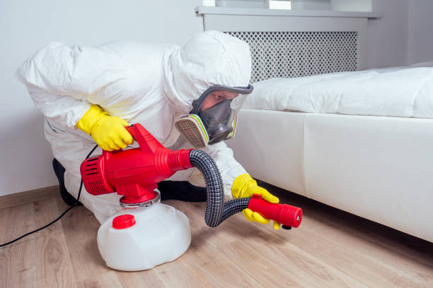 Best Wasp Removal Services  in Mcrae Helena, GA
