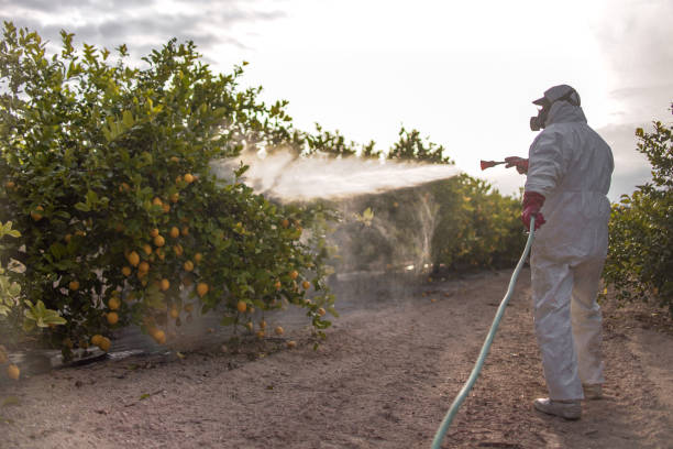 Best Wildlife Control Services  in Mcrae Helena, GA