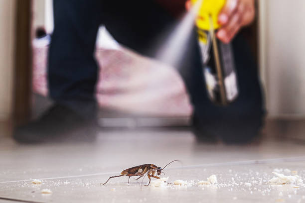 Trusted Mcrae Helena, GA Pest Control Experts