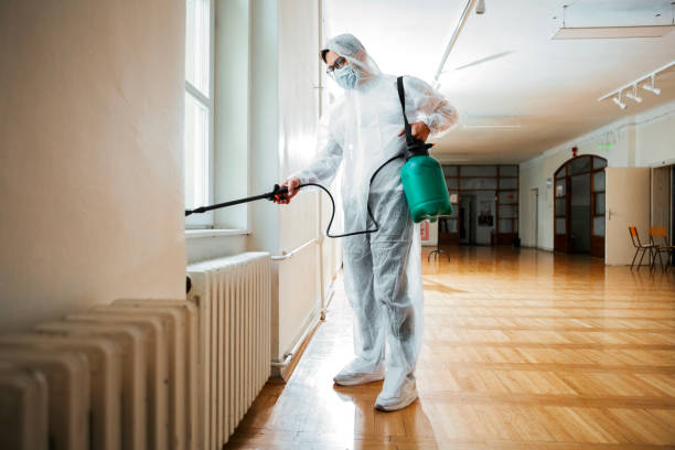 Best Ant Control Services  in Mcrae Helena, GA