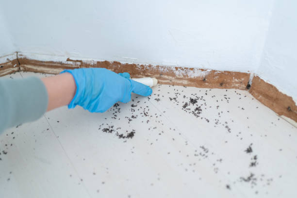 Best Pest Control for Homes  in Mcrae Helena, GA